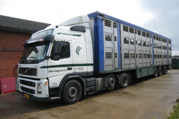 Dyretransport